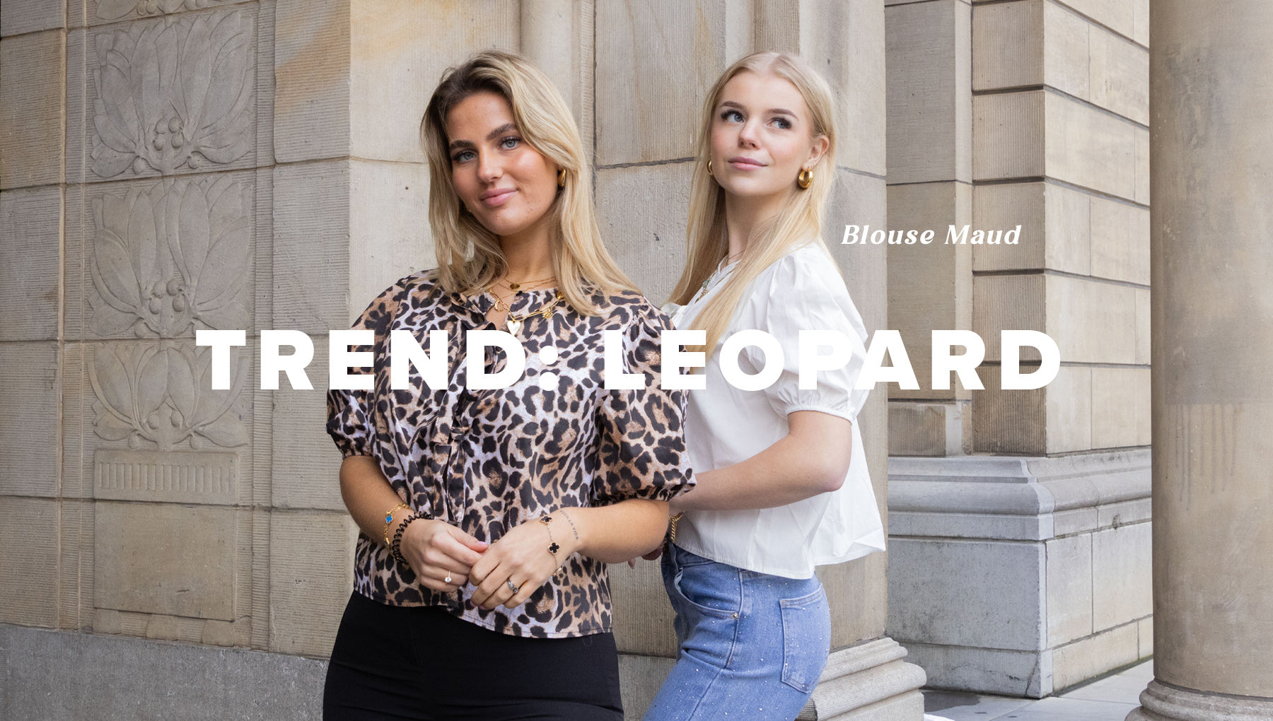 leopard 2