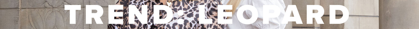 leopard 2