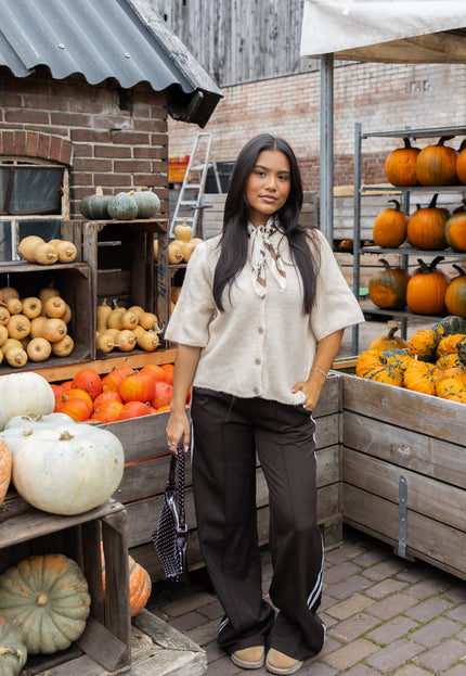 Famous Online Store Broek Roxanne bruin