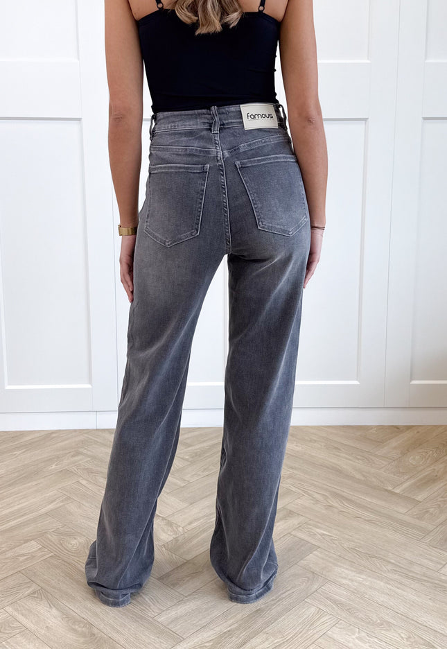 Famous Online Store Jeans Amy grijs