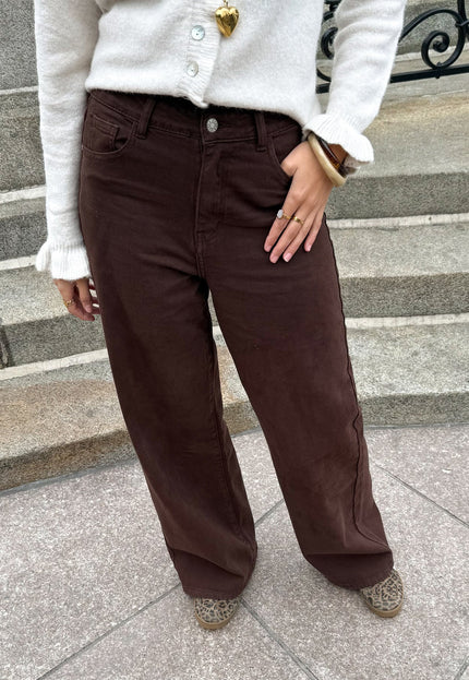 Famous Online Store Jeans Saar Bruin