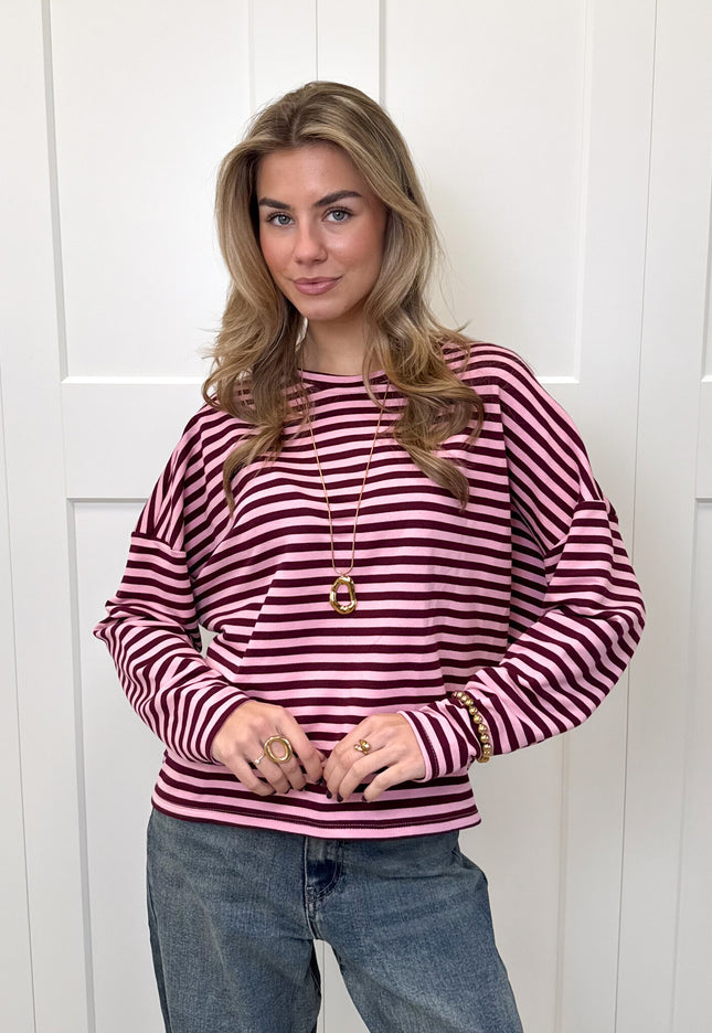 Famous Online Store Longsleeve Sophie bruin/roze