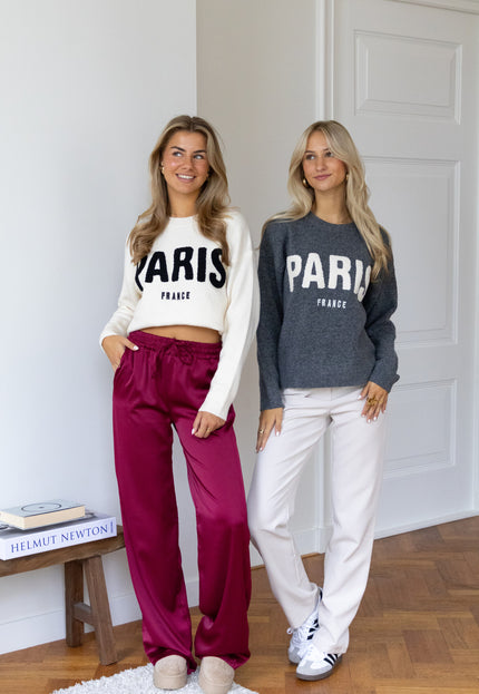 Famous Online Store Meet me in Paris grijs