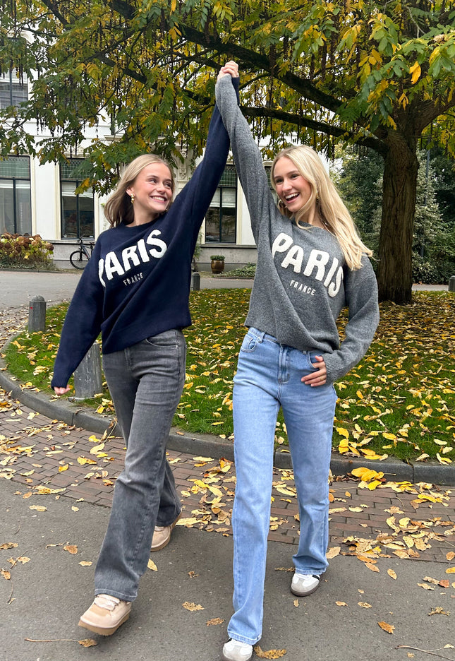 Famous Online Store Meet me in Paris grijs