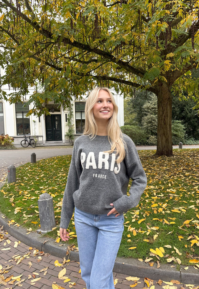 Famous Online Store Meet me in Paris grijs