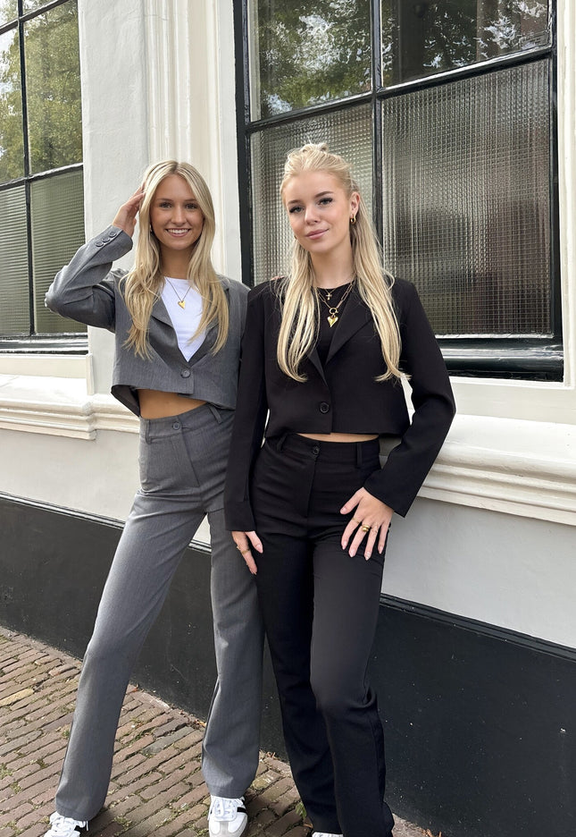 Famous Online Store Pantalon Esther grijs