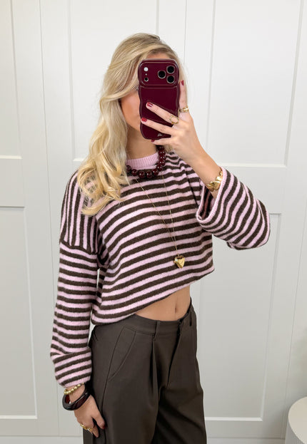 Famous Online Store Strepen trui Fien bruin/roze