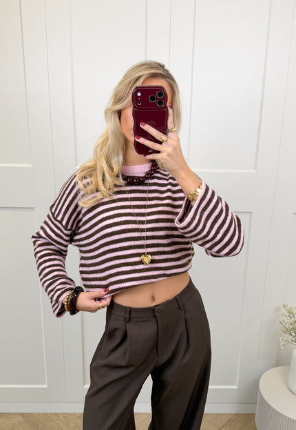 Famous Online Store Strepen trui Fien bruin/roze
