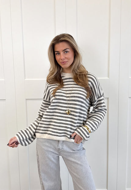 Famous Online Store Strepen trui Fien grijs