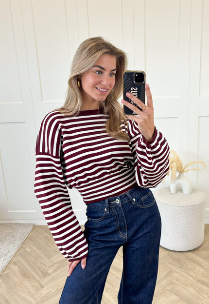 Famous Online Store Strepen trui Hazel bordeaux