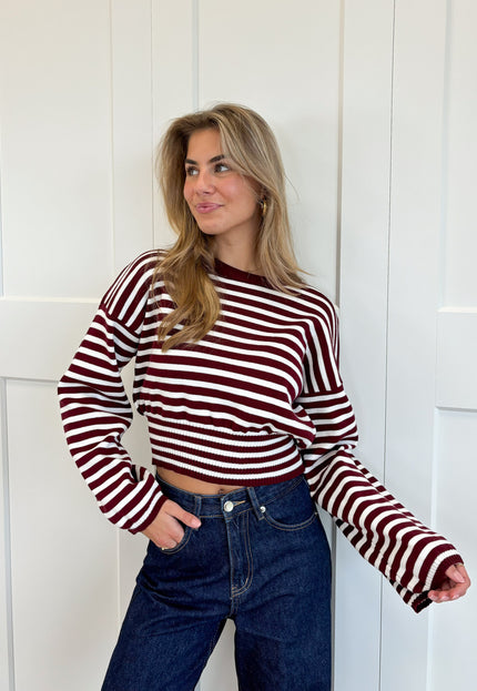 Famous Online Store Strepen trui Hazel bordeaux
