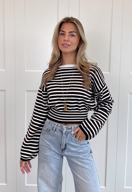 Famous Online Store Strepen trui Hazel bruin