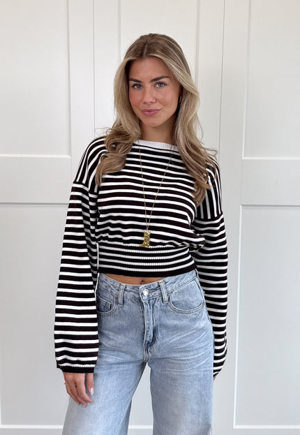 Famous Online Store Strepen trui Hazel bruin
