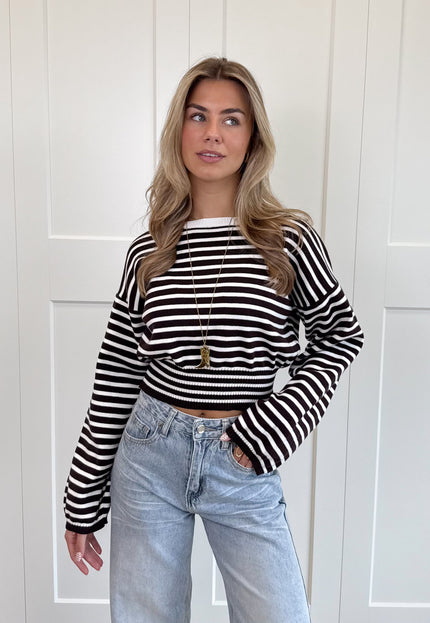 Famous Online Store Strepen trui Hazel bruin
