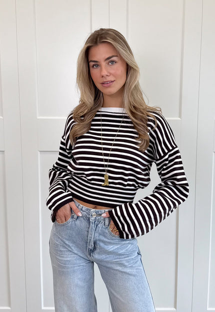 Famous Online Store Strepen trui Hazel bruin