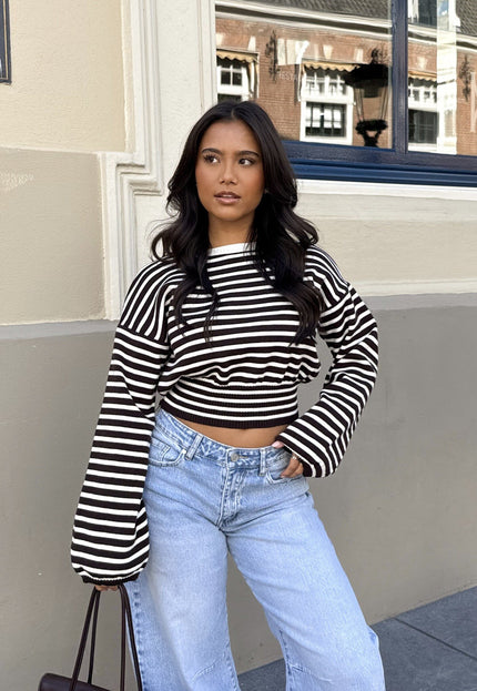 Famous Online Store Strepen trui Hazel bruin