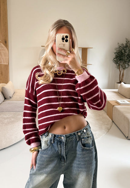 Famous Online Store Strepen trui Pien bordeaux