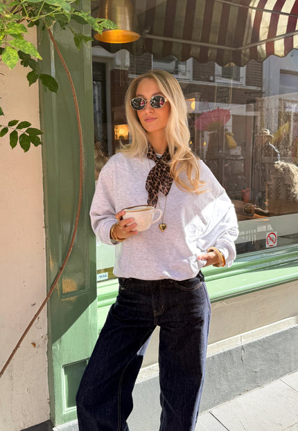 Famous Online Store Sweater Aya grijs