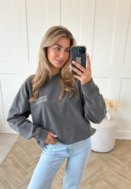 Famous Online Store Sweater Espresso martini grijs