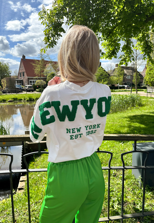 Famous Online Store T-shirt New York groen