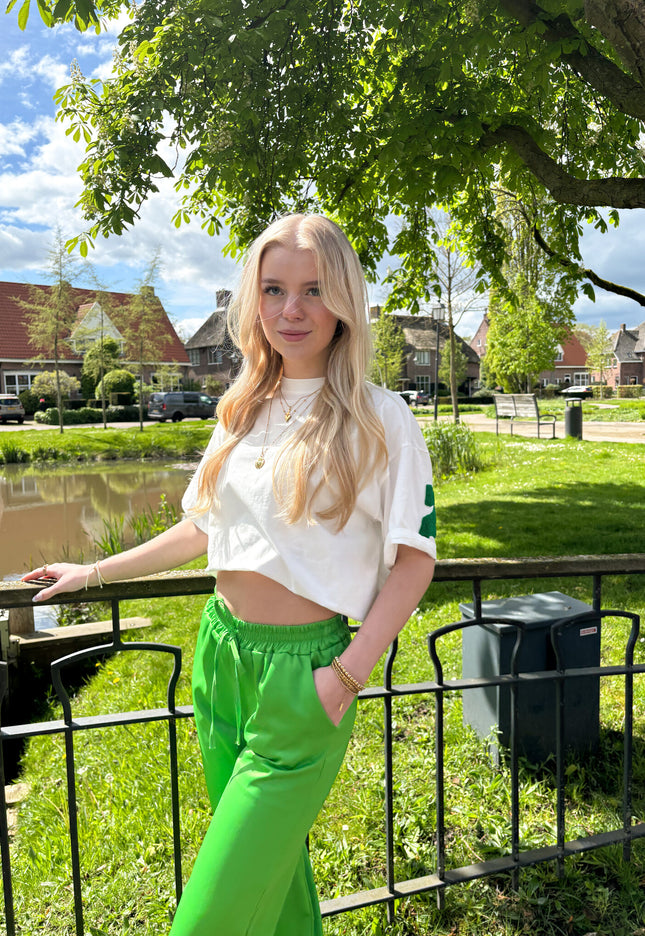 Famous Online Store T-shirt New York groen