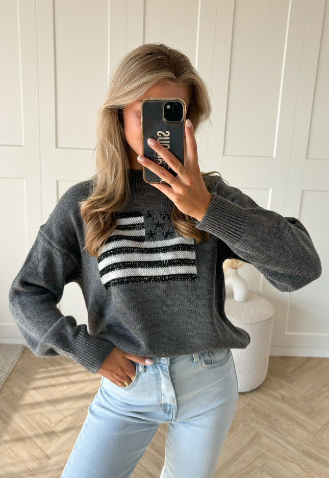 Famous Online Store Trui America grijs