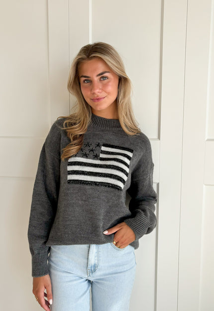 Famous Online Store Trui America grijs
