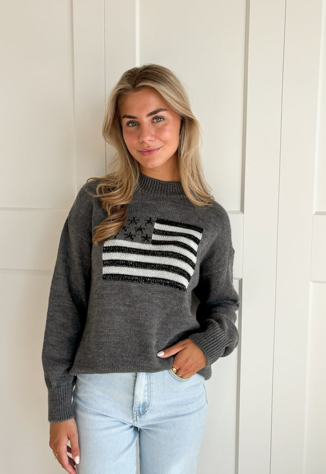 Famous Online Store Trui America grijs
