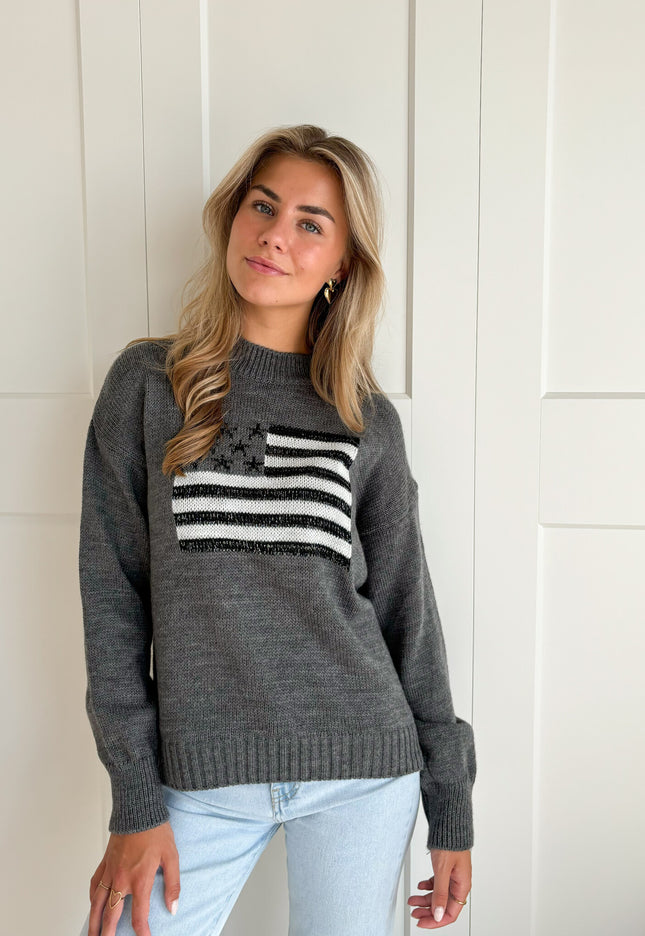 Famous Online Store Trui America grijs
