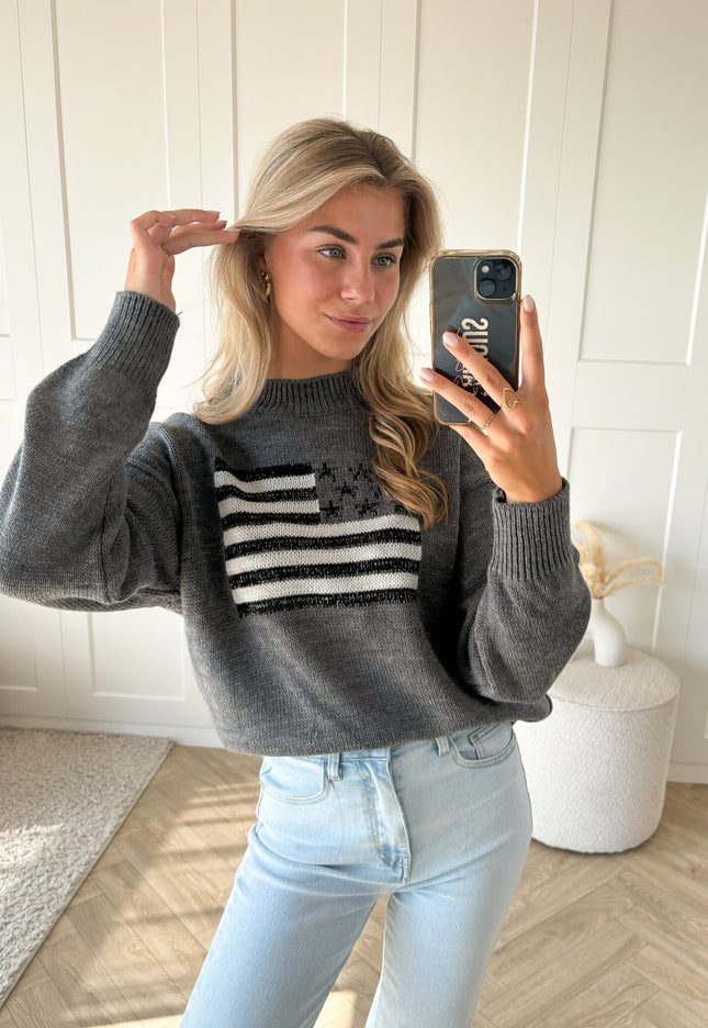 Famous Online Store Trui America grijs