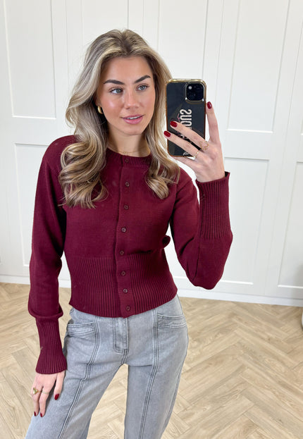 Famous Online Store Trui Blake bordeaux