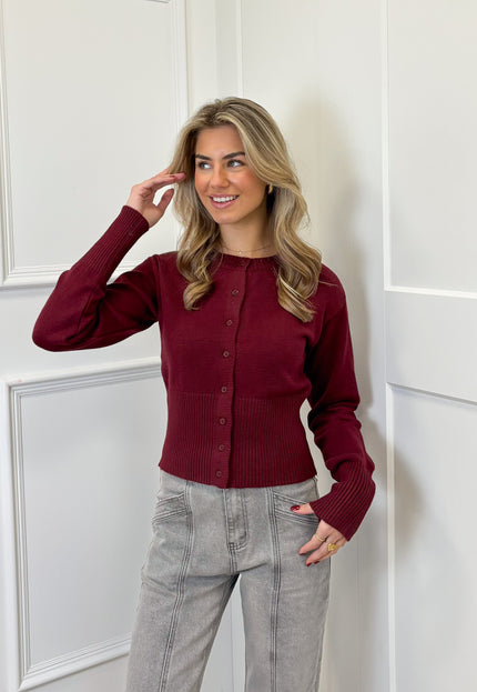 Famous Online Store Trui Blake bordeaux