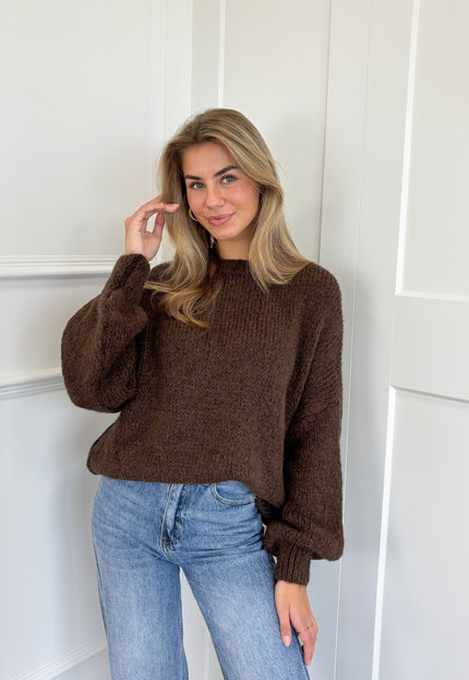 Famous Online Store Trui Ella bruin