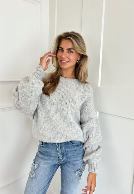 Famous Online Store Trui Ella lichtgrijs