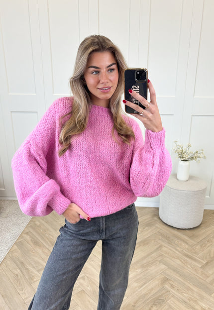 Famous Online Store Trui ella roze