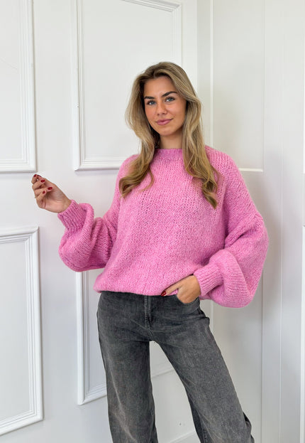 Famous Online Store Trui ella roze
