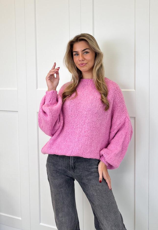 Famous Online Store Trui ella roze