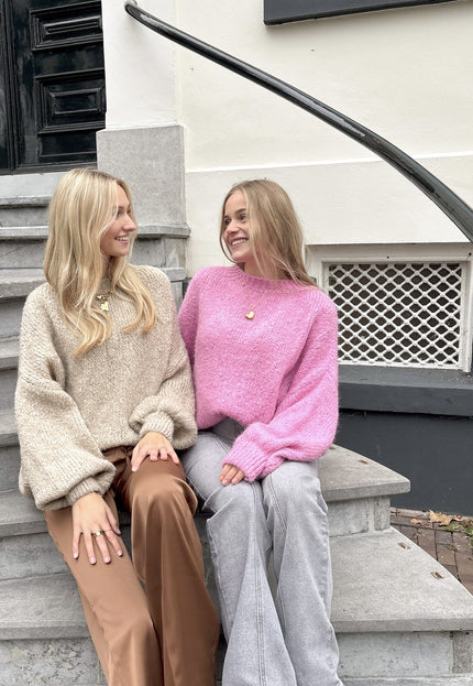 Famous Online Store Trui ella roze