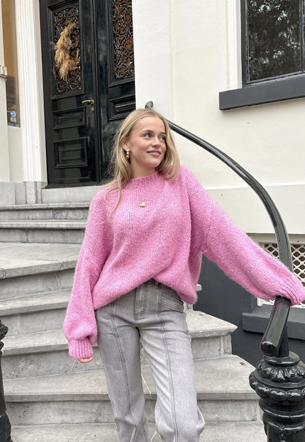 Famous Online Store Trui ella roze