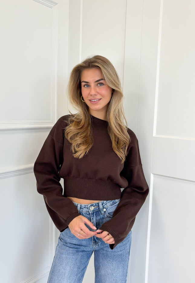 Famous Online Store Trui June bruin