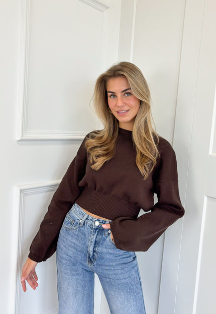 Famous Online Store Trui June bruin