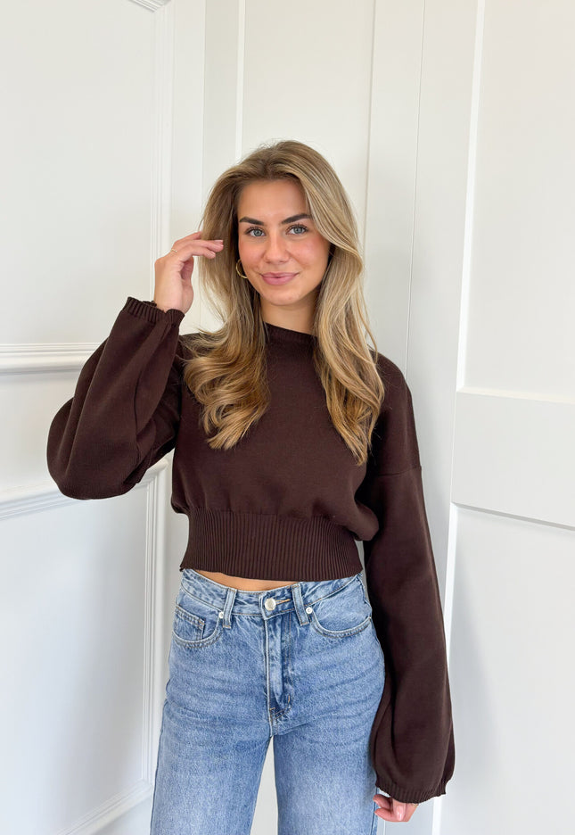 Famous Online Store Trui June bruin
