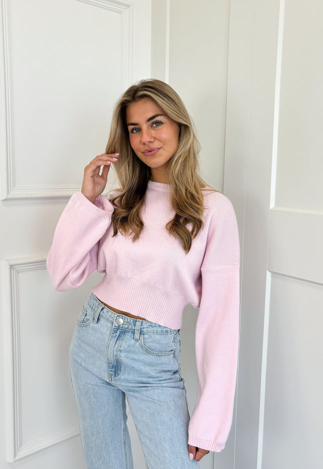 Famous Online Store Trui June roze