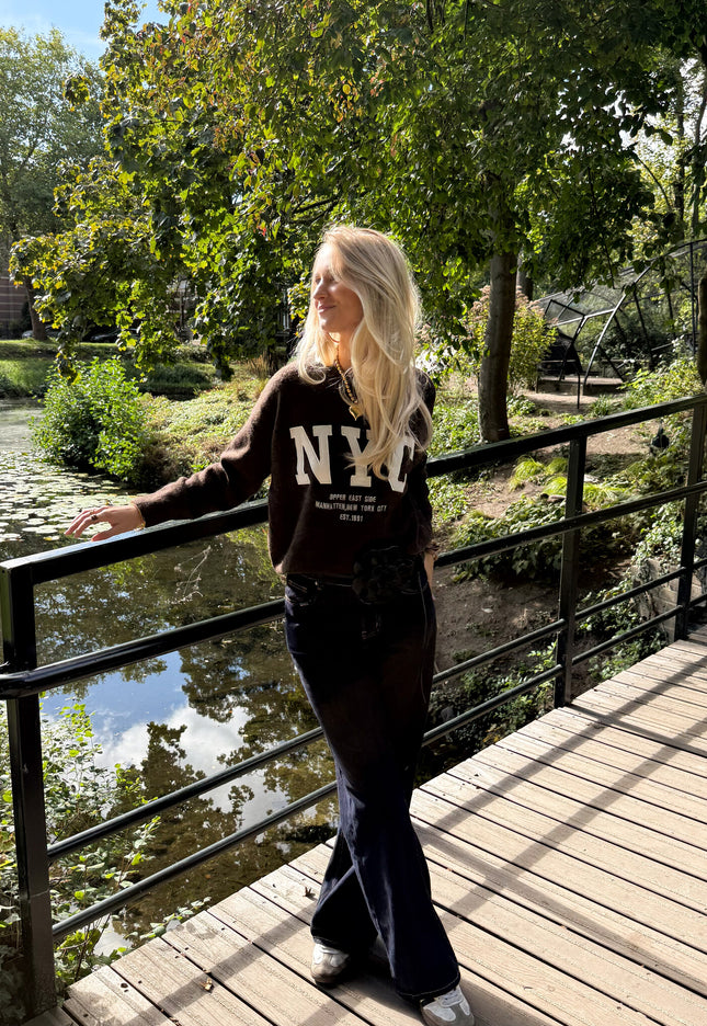 Famous Online Store Trui NYC bruin