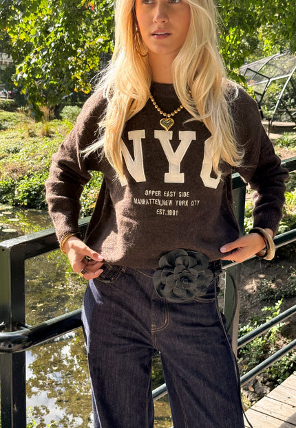 Famous Online Store Trui NYC bruin