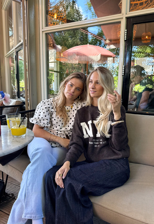 Famous Online Store Trui NYC bruin
