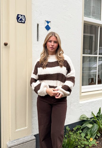 Famous Online Store Trui Rosalie bruin