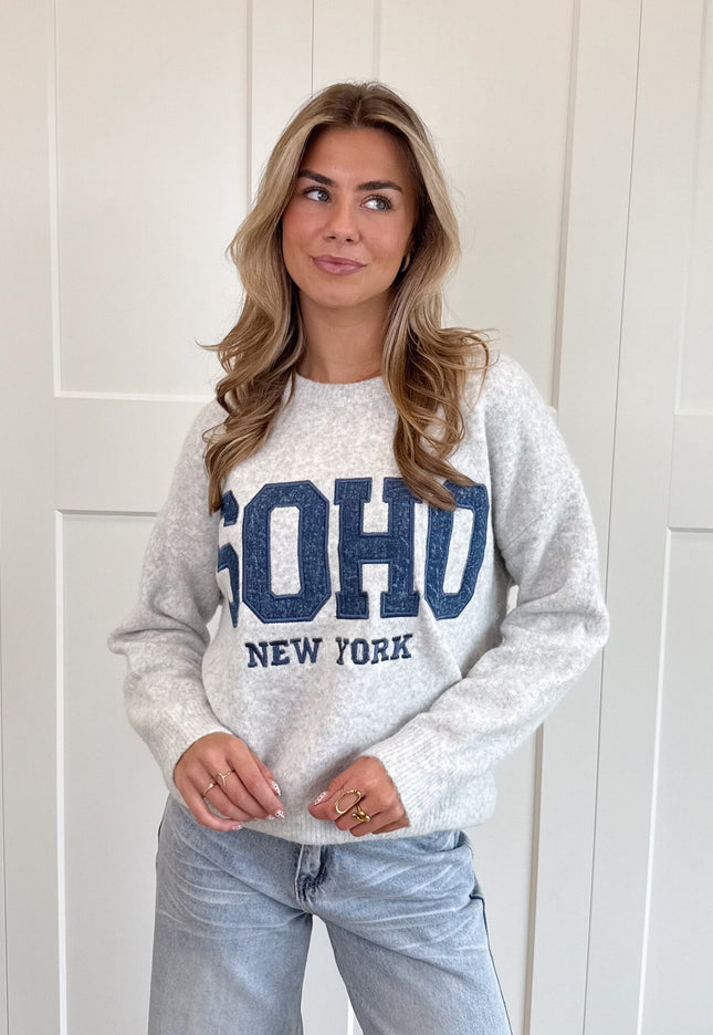 Famous Online Store Trui Soho grijs
