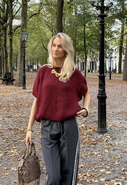 Famous Online Store Trui Suus Bordeaux