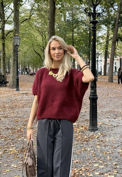Famous Online Store Trui Suus Bordeaux